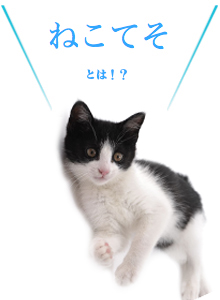 ねこてそとは!?