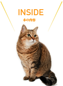 c3.jpg