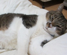 20130427205245aa2.jpg